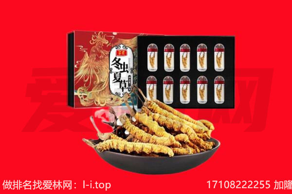 谷城县回收虫草.jpg